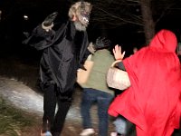 02-19-26-02-BB-Loup 2